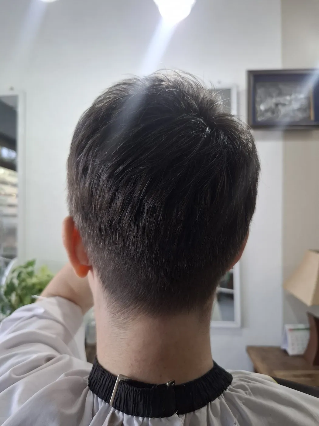 Short men’s cut with a tapered neckline, seen from behind