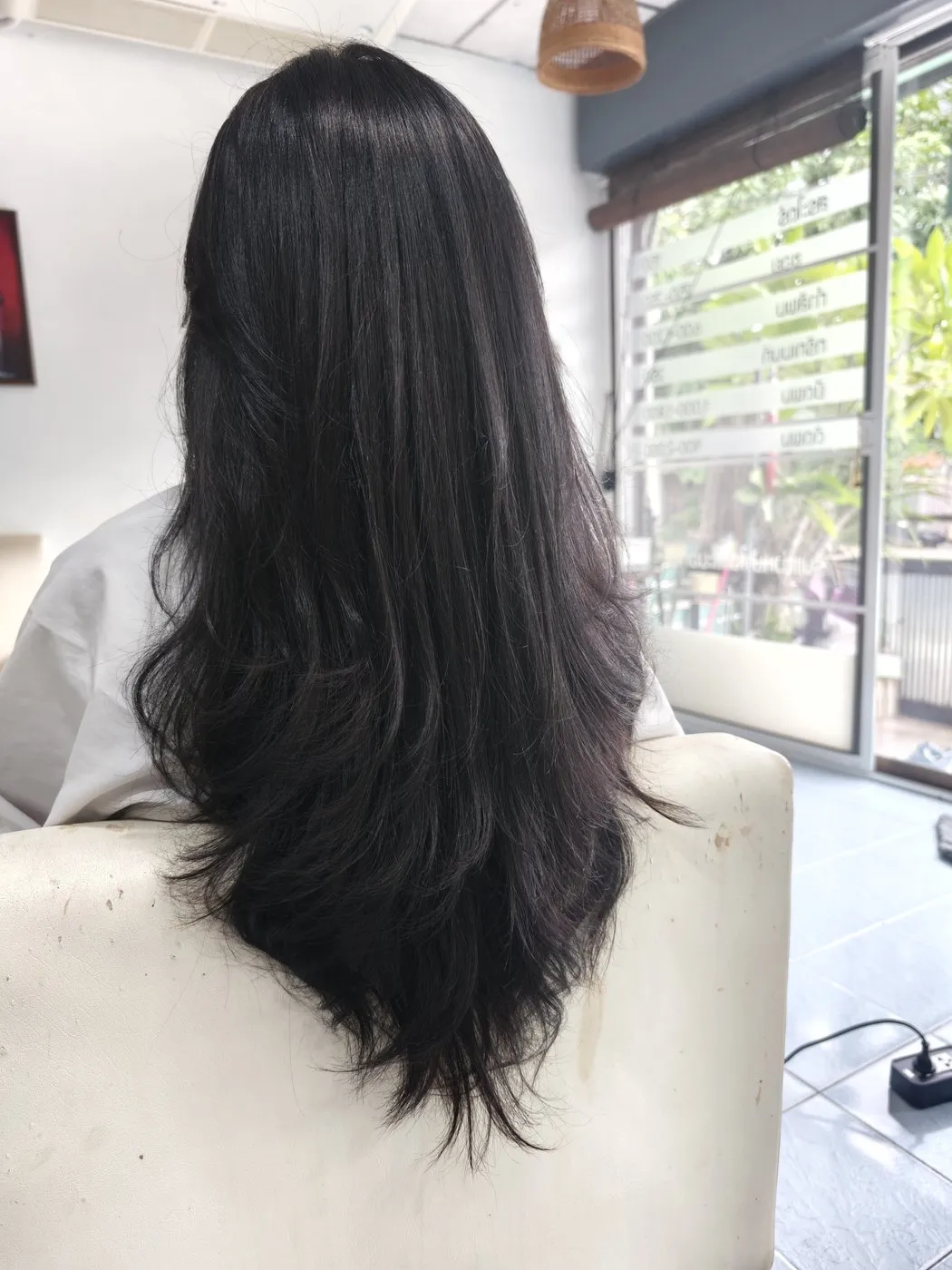 Long, straight dark hair with layered ends, seen from behind